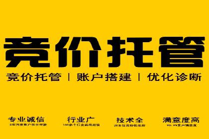 SEM竞价实战：成功案例解析
